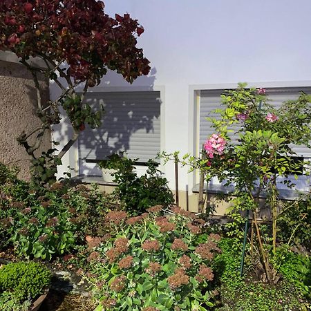 Moderne Souterrain-Oase In Top-Lage Bad Hersfeld Exterior photo